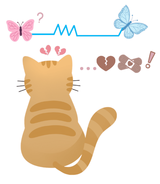 Gato casi final